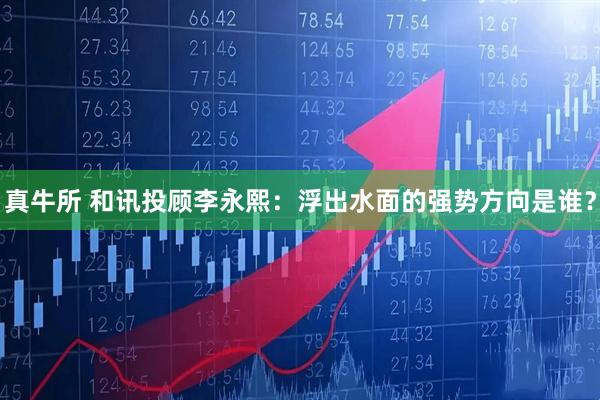 真牛所 和讯投顾李永熙：浮出水面的强势方向是谁？