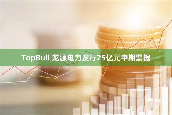TopBull 龙源电力发行25亿元中期票据