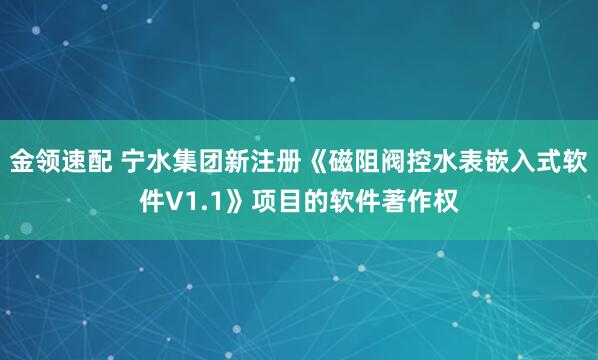 金领速配 宁水集团新注册《磁阻阀控水表嵌入式软件V1.1》项目的软件著作权