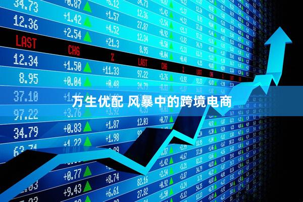 万生优配 风暴中的跨境电商