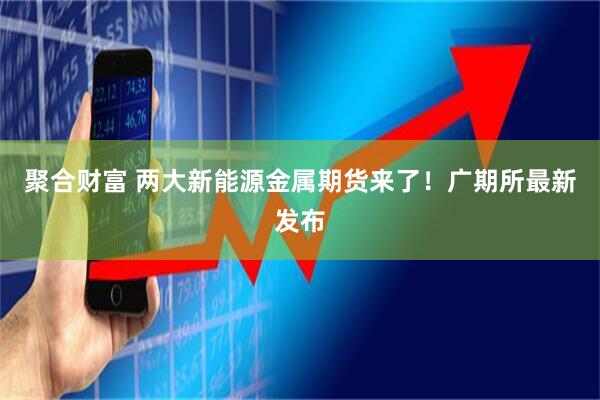 聚合财富 两大新能源金属期货来了！广期所最新发布