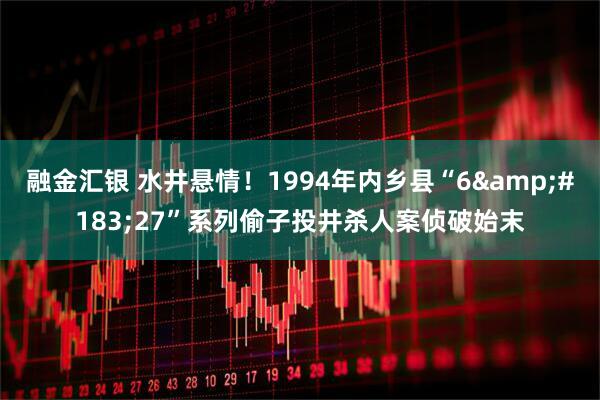 融金汇银 水井悬情！1994年内乡县“6&#183;27”系列偷子投井杀人案侦破始末