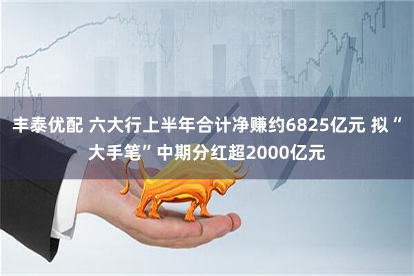 丰泰优配 六大行上半年合计净赚约6825亿元 拟“大手笔”中期分红超2000亿元