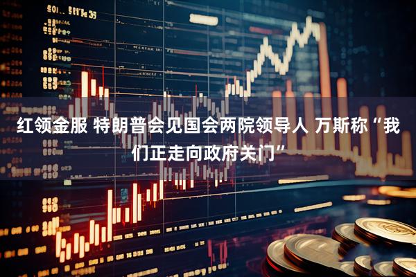 红领金服 特朗普会见国会两院领导人 万斯称“我们正走向政府关门”