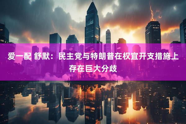 爱一配 舒默：民主党与特朗普在权宜开支措施上存在巨大分歧