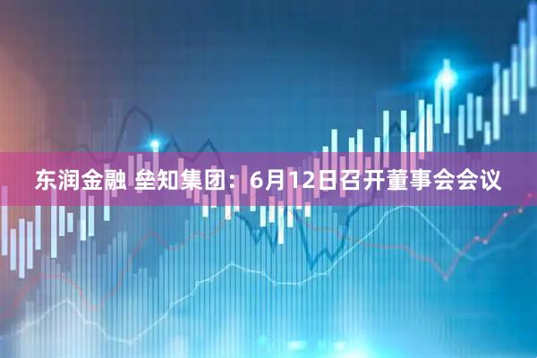 东润金融 垒知集团：6月12日召开董事会会议